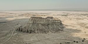 Close-up of human hands using a hand tool for woodworking, representing analog skills in 2026.