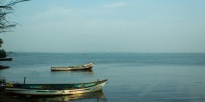 A high-tech professional auditing digital data and AI agent workflows in 2026