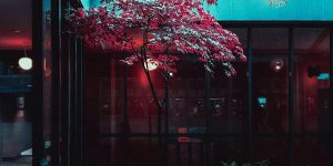 Abstract blue and white sound waves representing voice biometric authentication