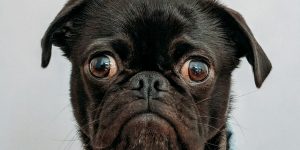 Robot hand touching human hand symbolizing AI ethics and conscience.